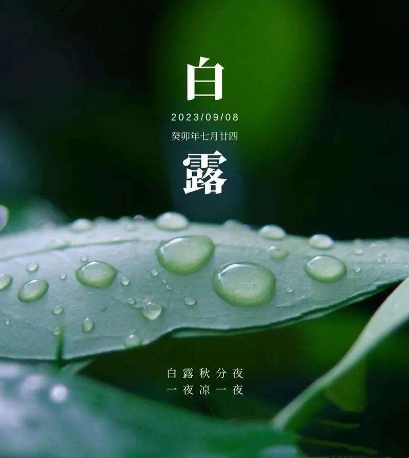 今天買什么特馬白露是二十四節(jié)氣笏幾個節(jié)日，